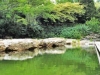 pool_10