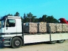 rawe-steinkorb-lkw