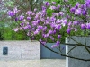 Exif_JPEG_PICTURE