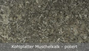 Kohlplatter Muschelkalk mit polierter Oberfläche