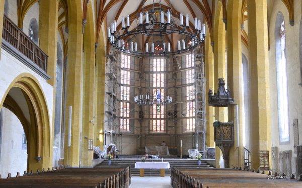 Marktkirche Jena mit Bodenbelag aus Kalkstein beige von TRACO